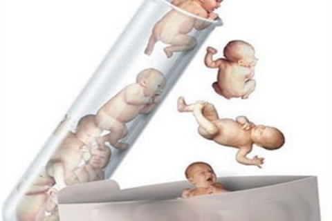 http://hefei.dacou.net/post/194.html|合肥新闻中心